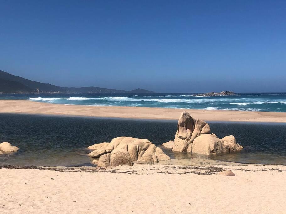 Appartement T2 Avec Piscine Aux Portes De La Plage De Cupabia Serra-di-Ferro  Exterior foto