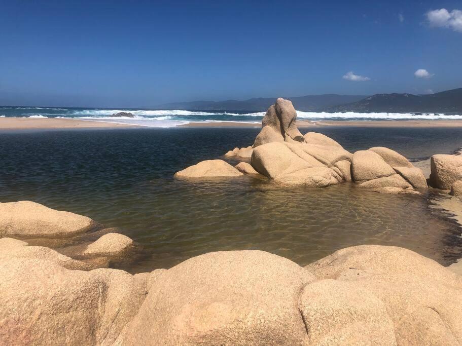Appartement T2 Avec Piscine Aux Portes De La Plage De Cupabia Serra-di-Ferro  Exterior foto